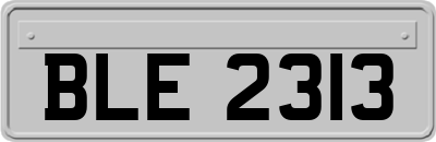 BLE2313