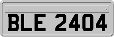BLE2404