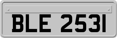 BLE2531