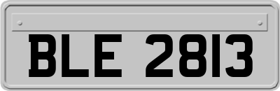 BLE2813