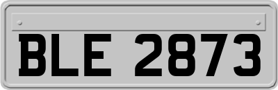 BLE2873