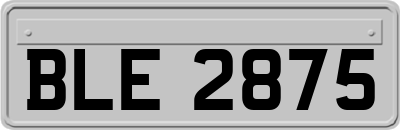 BLE2875