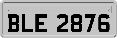 BLE2876