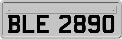 BLE2890