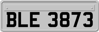 BLE3873