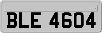 BLE4604