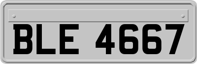 BLE4667