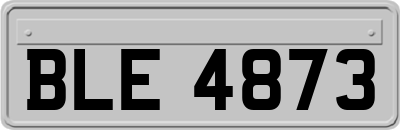 BLE4873