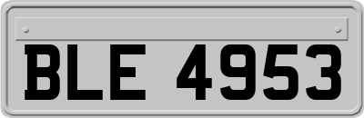 BLE4953