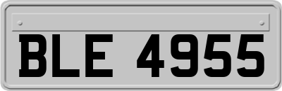 BLE4955