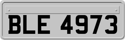 BLE4973