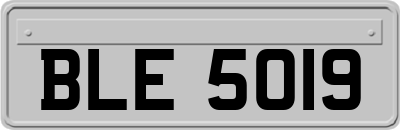 BLE5019