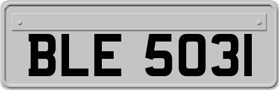 BLE5031