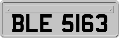 BLE5163