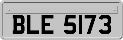 BLE5173