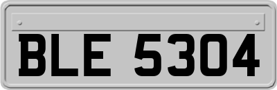BLE5304