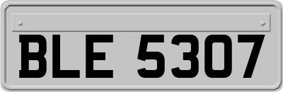 BLE5307