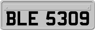 BLE5309