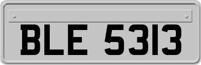 BLE5313
