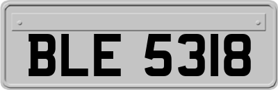 BLE5318