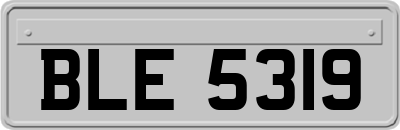 BLE5319