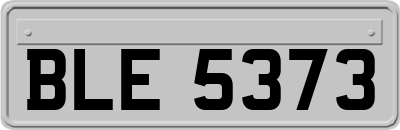 BLE5373