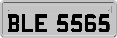 BLE5565