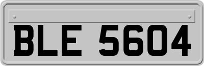 BLE5604