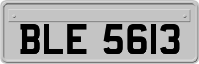 BLE5613