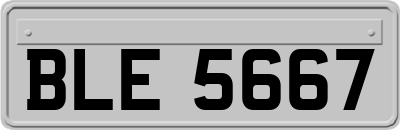 BLE5667