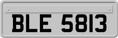 BLE5813
