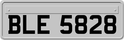 BLE5828