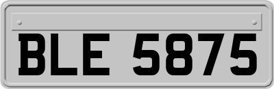 BLE5875
