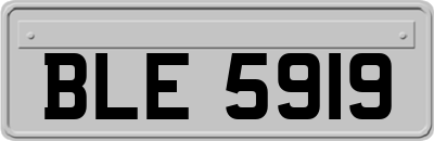 BLE5919