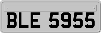 BLE5955