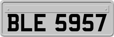 BLE5957