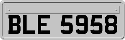 BLE5958