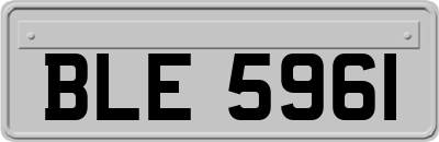BLE5961
