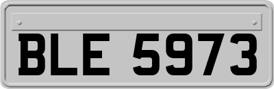 BLE5973