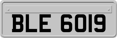 BLE6019