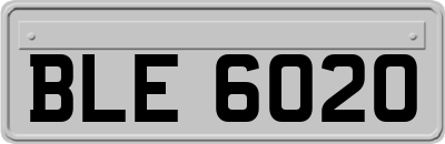 BLE6020