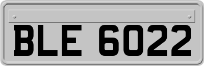 BLE6022