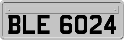 BLE6024