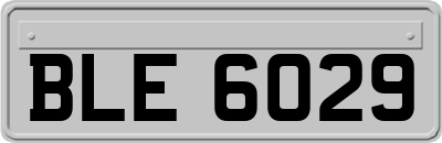 BLE6029