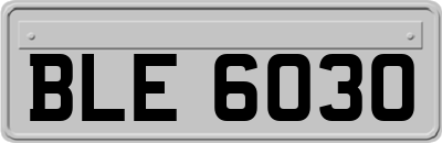 BLE6030