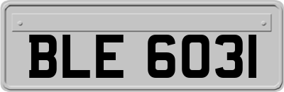 BLE6031