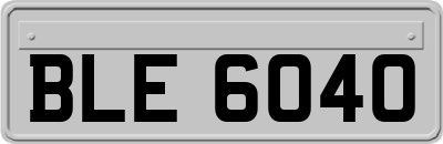 BLE6040
