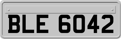 BLE6042