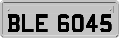 BLE6045