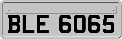 BLE6065